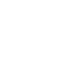 Dil Zaib – Software Engineer & MERN Stack Developer Pakistan